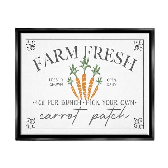 Stupell Industries Farm Fresh Carrot Patch Seasonal Springtime Vegetables Floater Framed Art